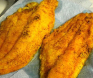 pan fried gluten free catfish